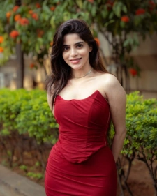 Pune Escort Services